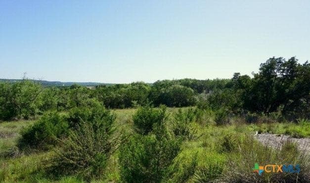 1 acres in Comal County - photo 6
