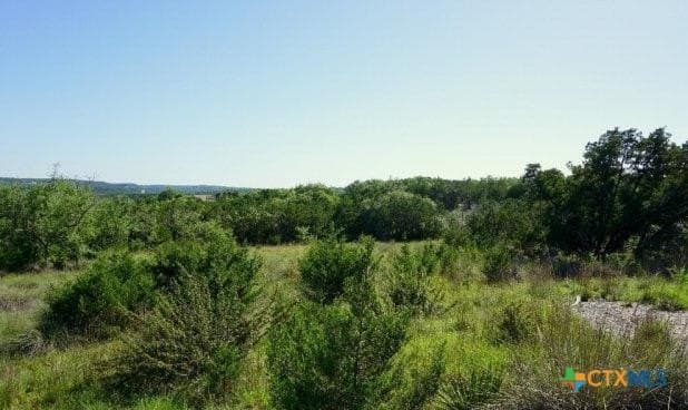 1 acres in Comal County - photo 5