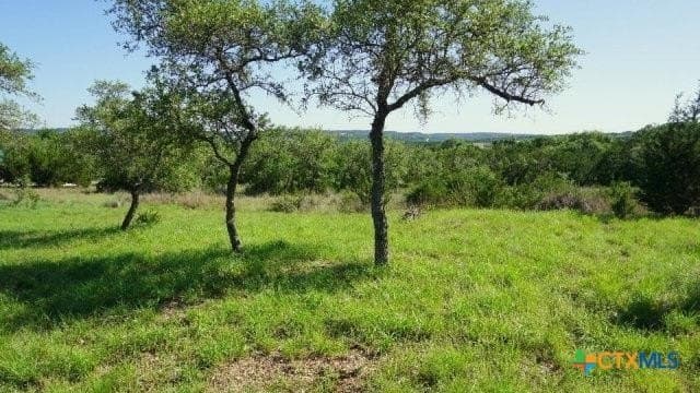 1 acres in Comal County - photo 7