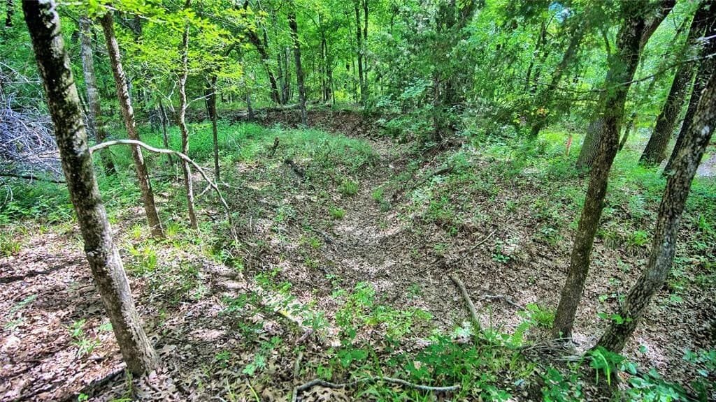 2.01 acres in Montague County gallery image 3