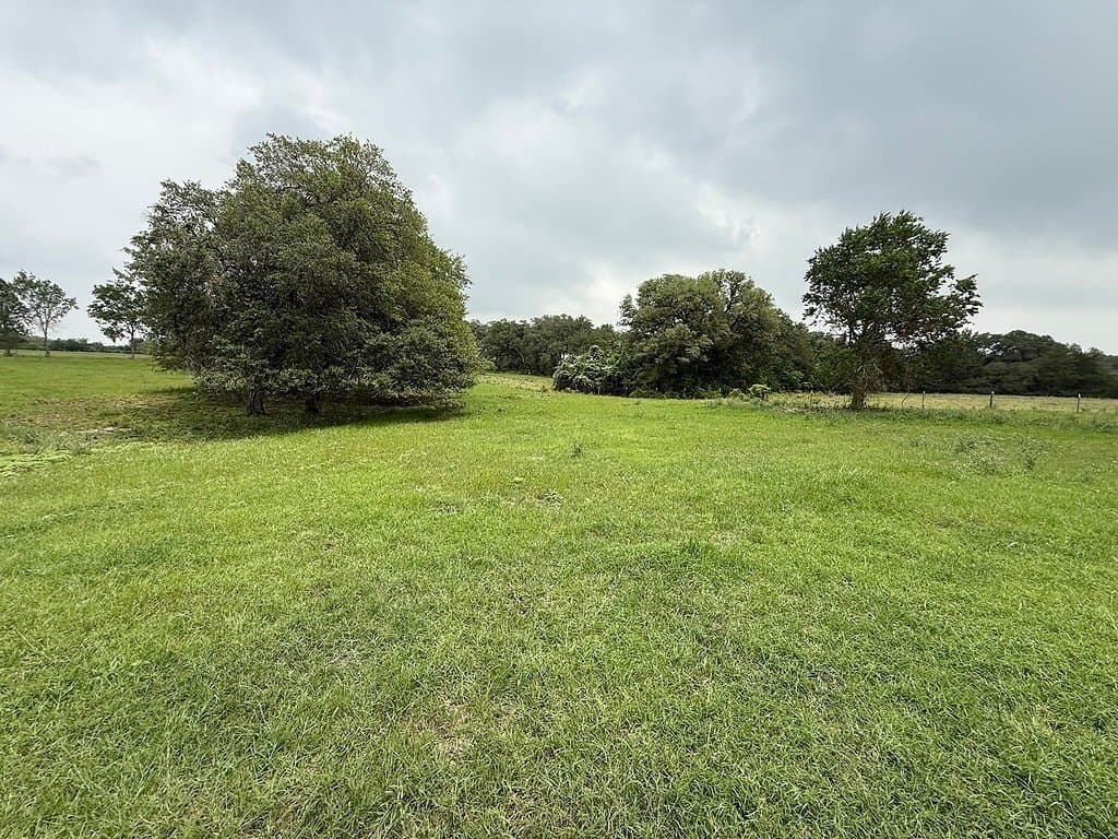 11.5 acres in Fayette County - photo 7