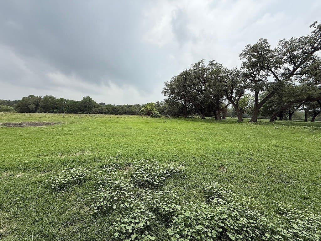 11.5 acres in Fayette County - photo 8