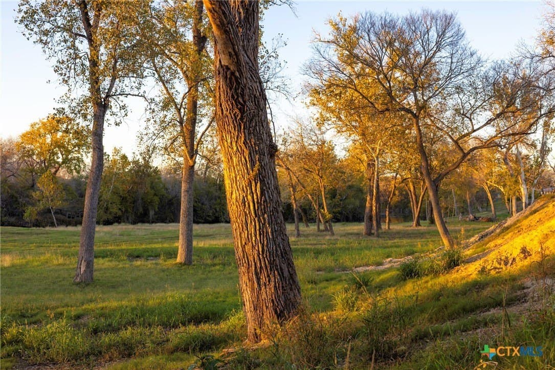 10.82 acres in Guadalupe County - photo 13