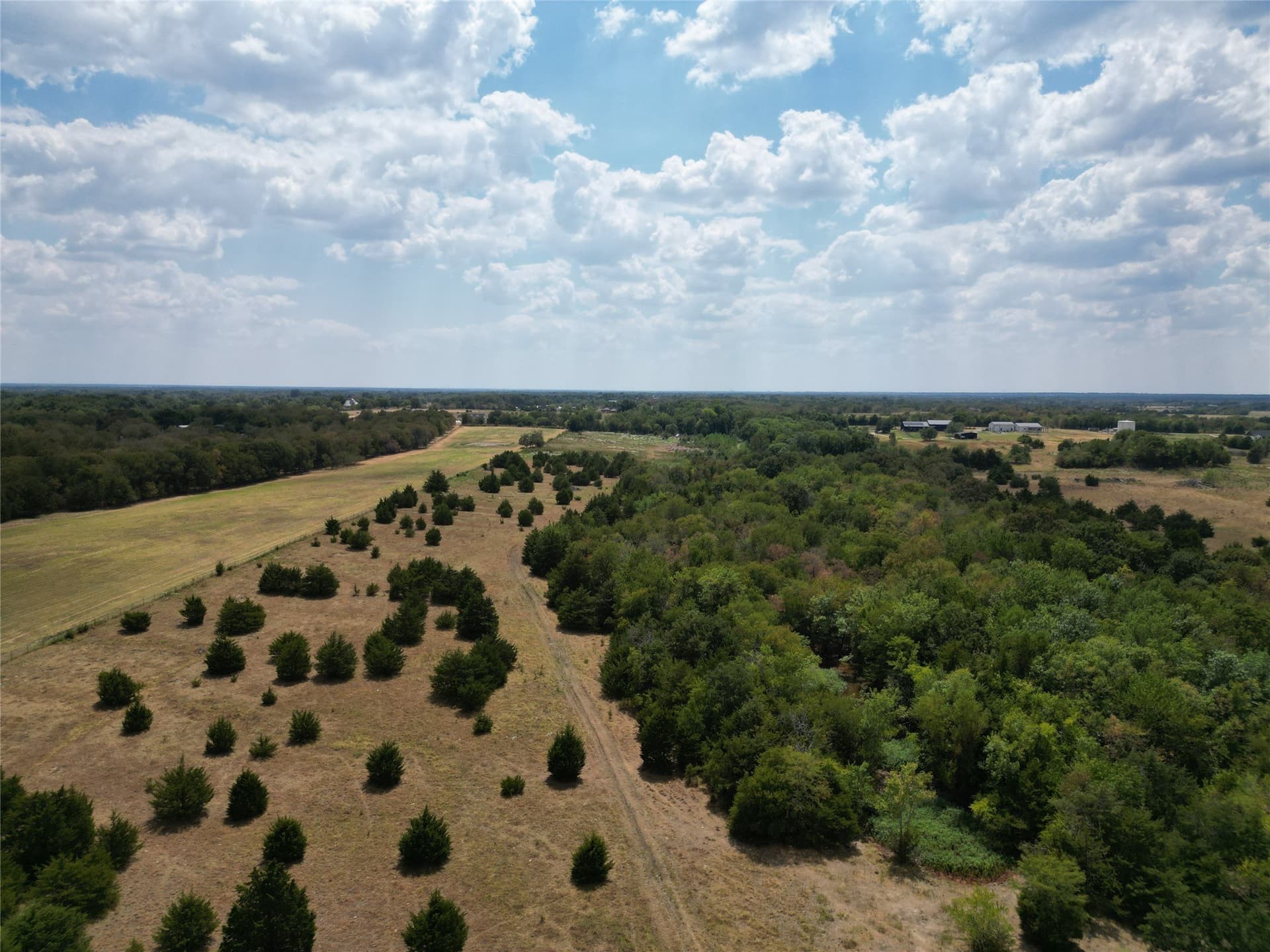 50 acres in Hunt County - photo 8