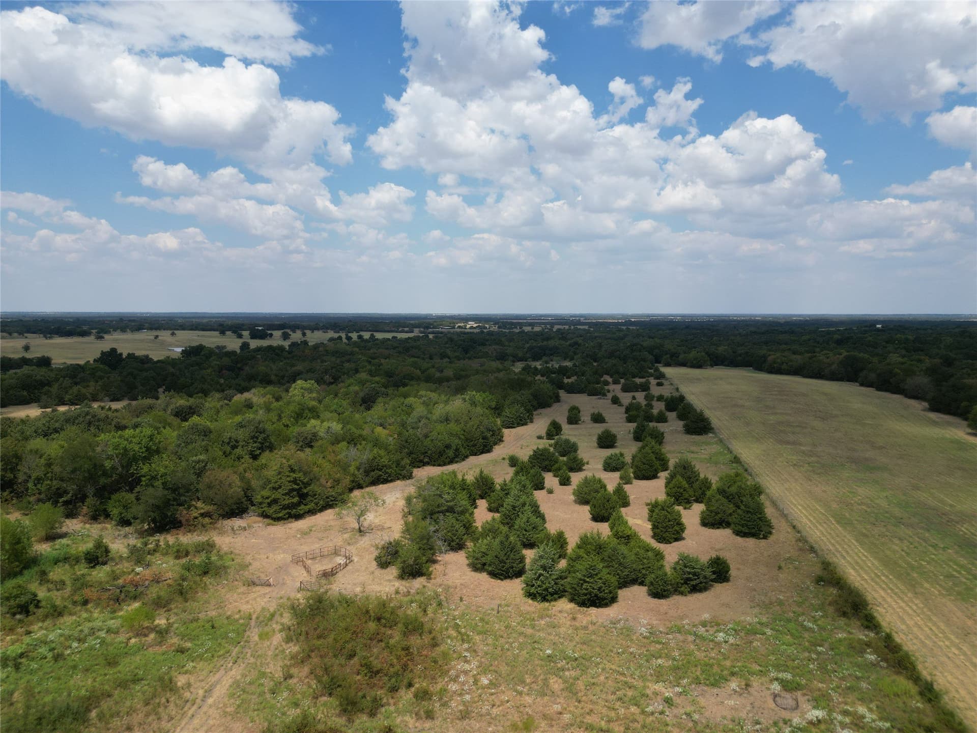 50 acres in Hunt County - photo 2