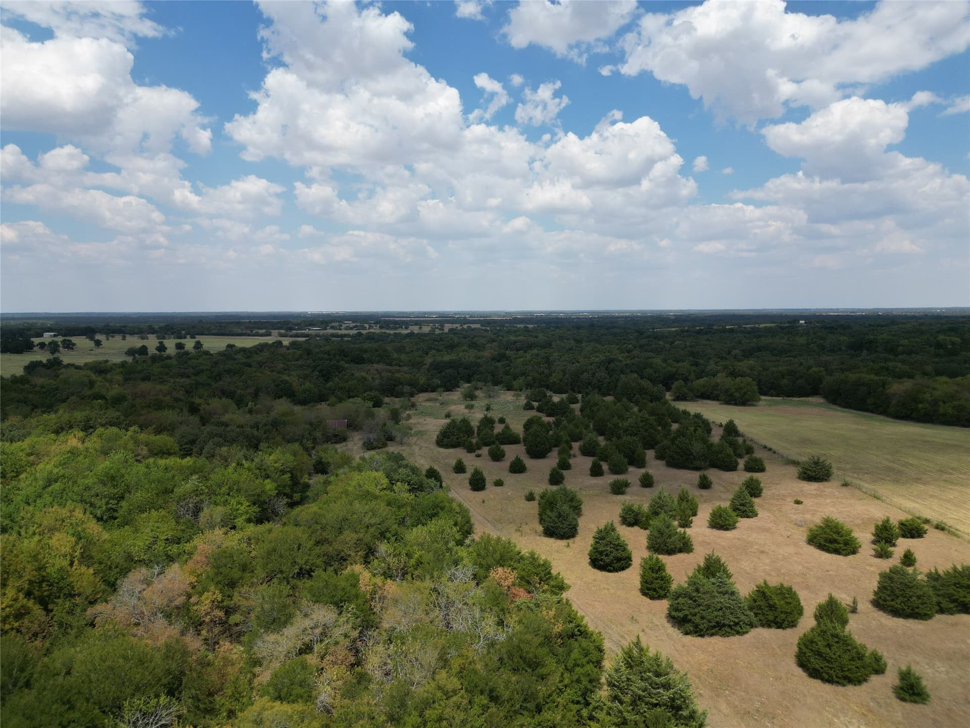 50 acres in Hunt County - photo 6