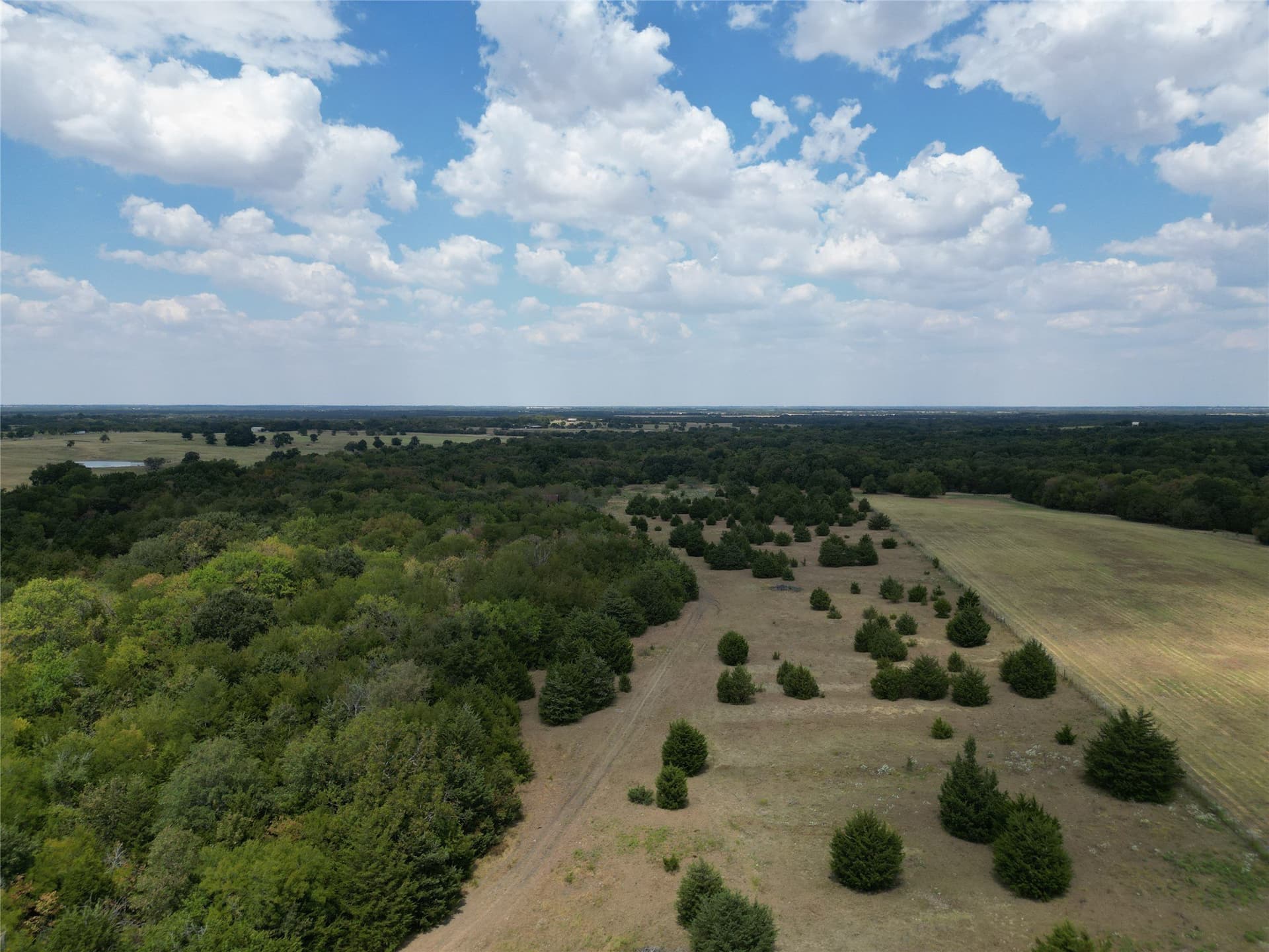 50 acres in Hunt County - photo 4