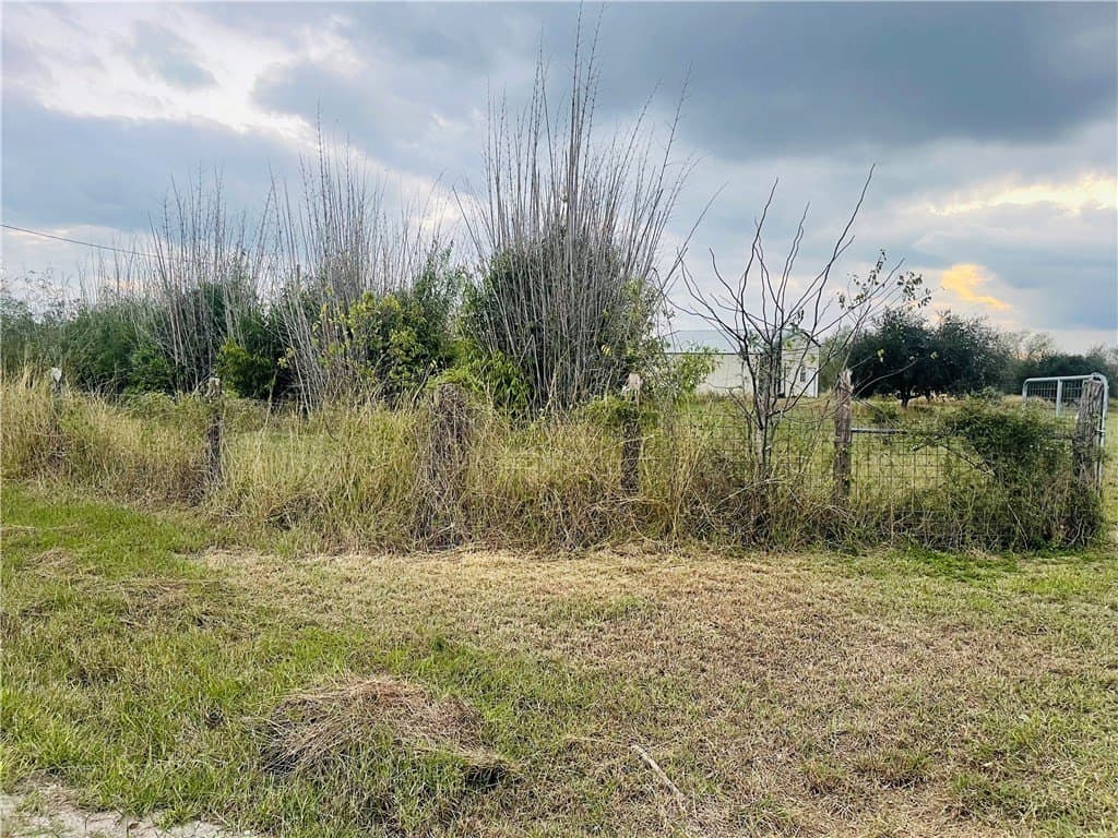 10.09 acres in Jim Wells County - photo 29