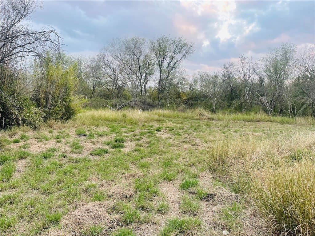 10.09 acres in Jim Wells County - photo 22