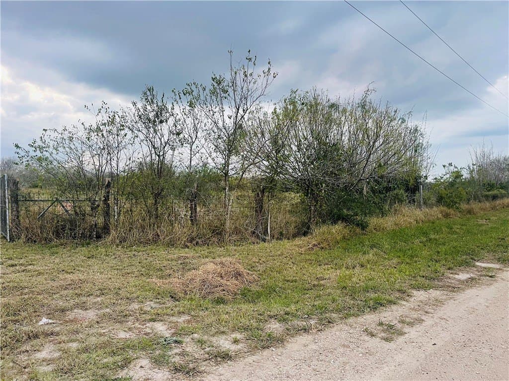 10.09 acres in Jim Wells County - photo 28