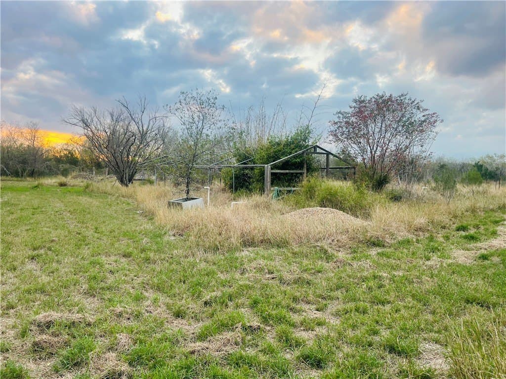 10.09 acres in Jim Wells County - photo 19