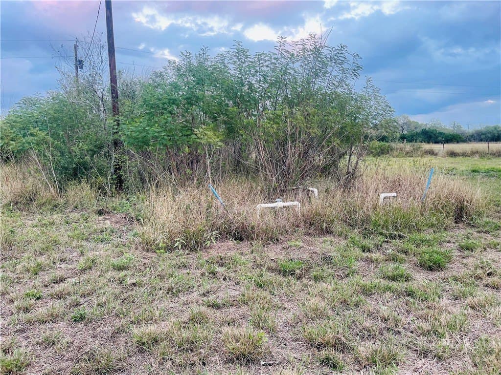 10.09 acres in Jim Wells County - photo 23