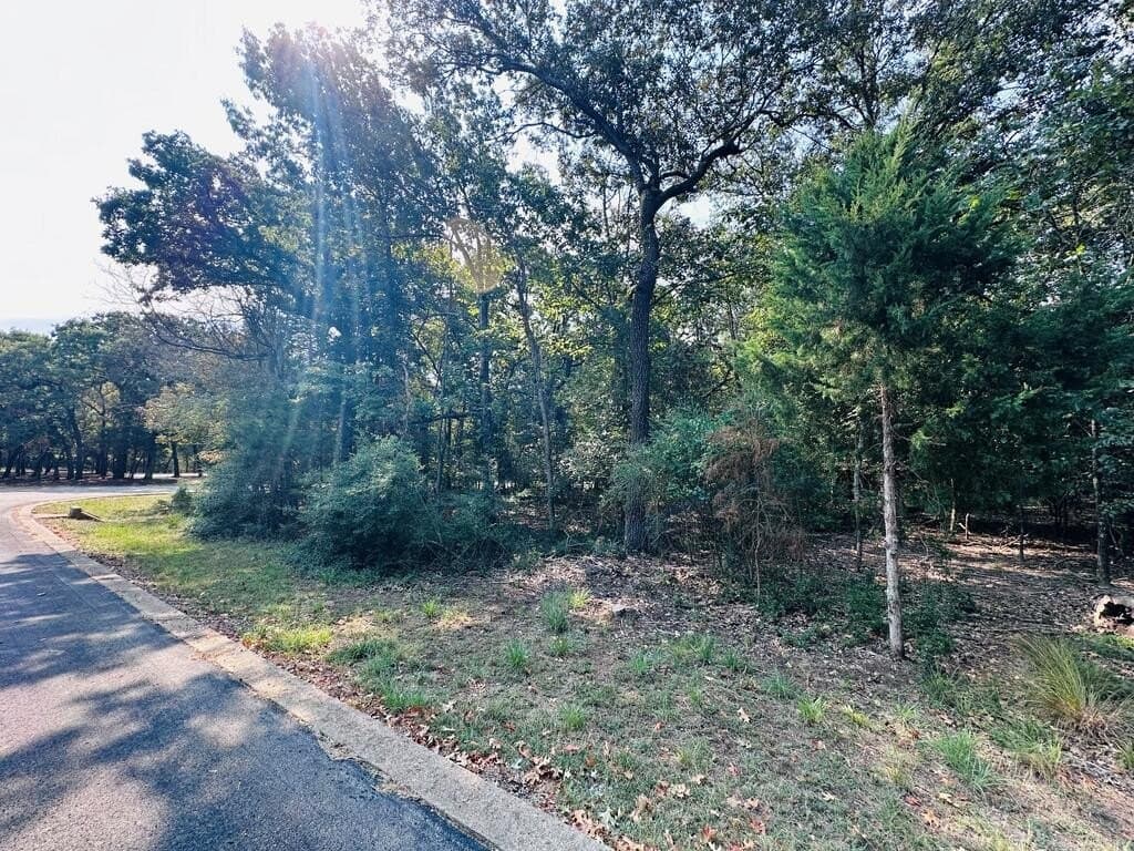 2.18 acres in Henderson County - photo 4