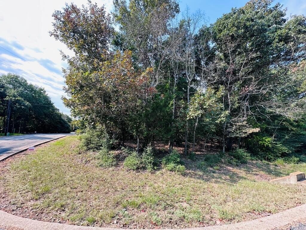 2.18 acres in Henderson County - photo 3