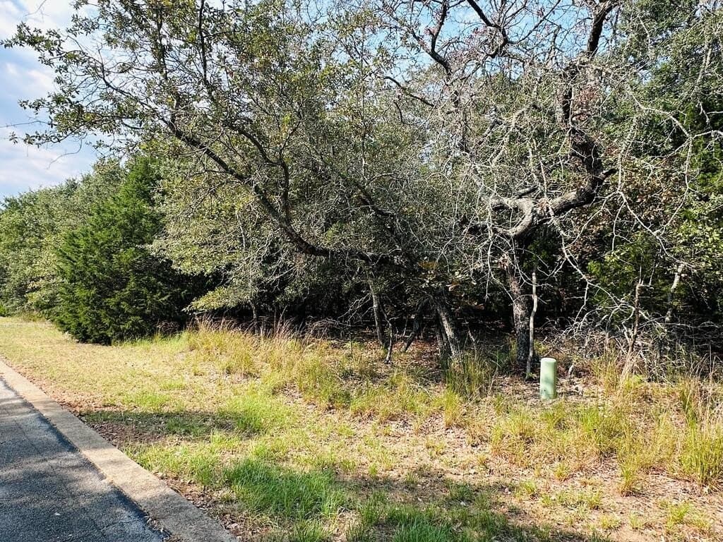 2.18 acres in Henderson County - photo 2