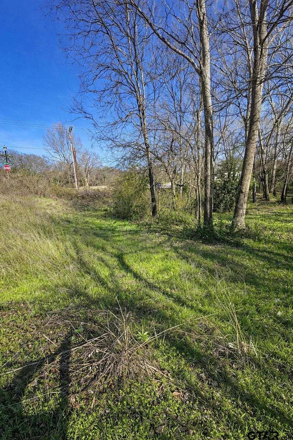 0.32 acres in Smith County - photo 2