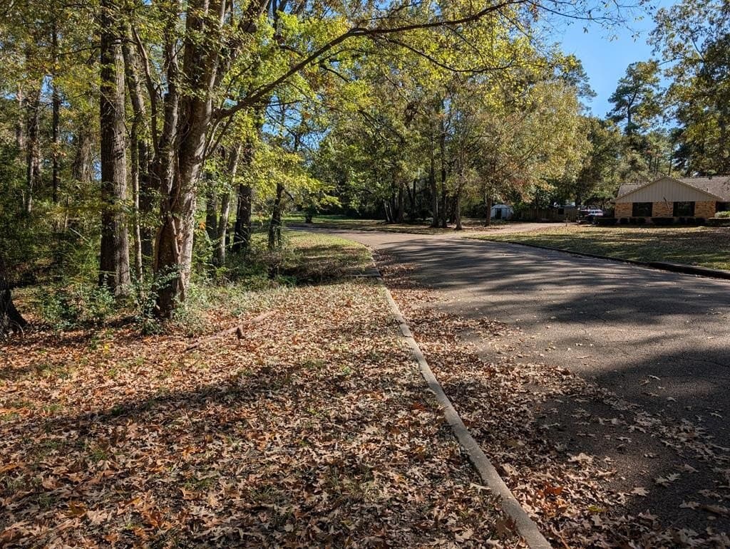 0.81 acres in Texas County gallery image 3