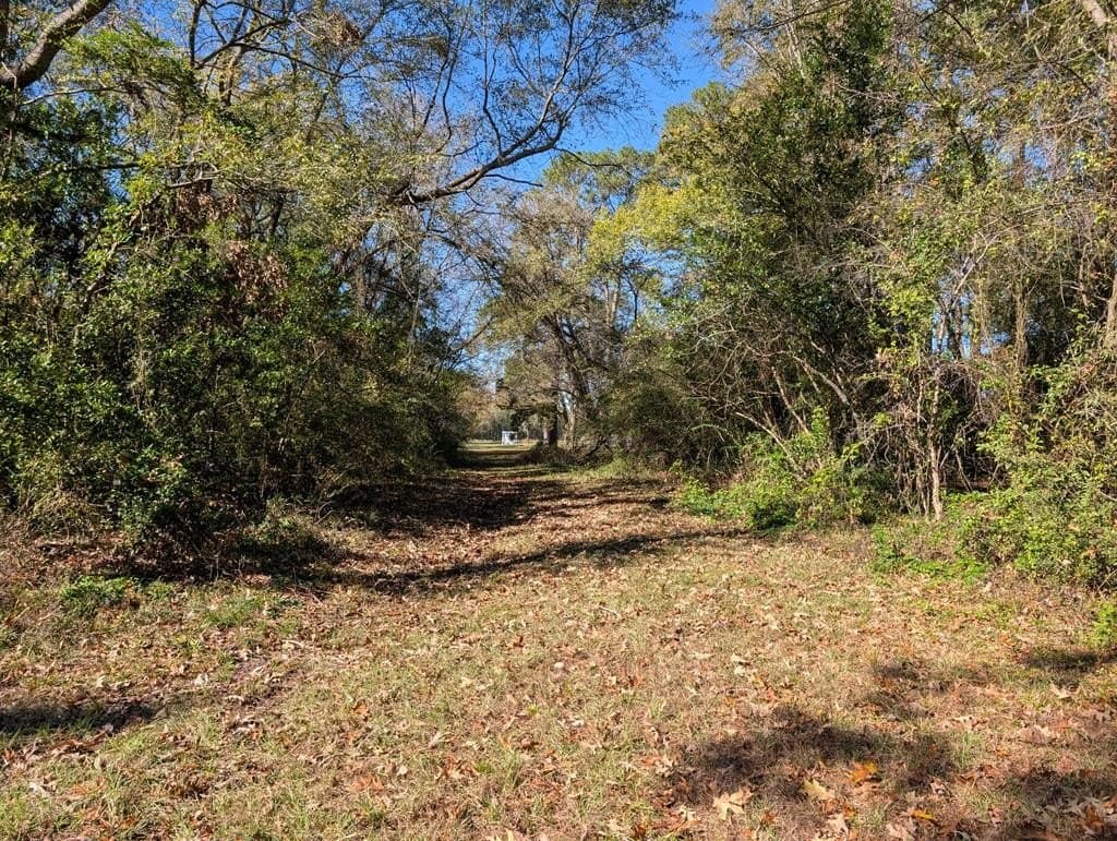 0.81 acres in Texas County gallery image 2