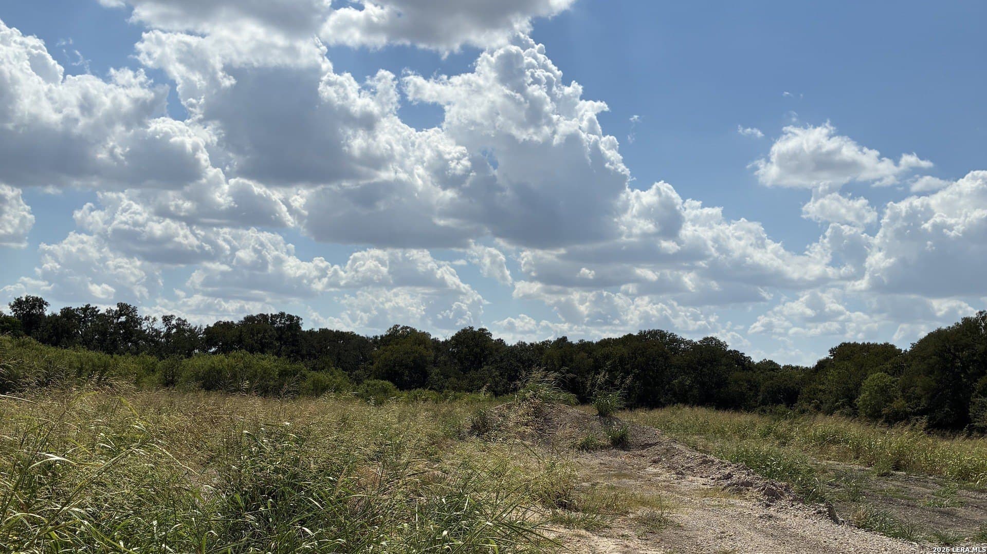 16.79 acres in Guadalupe County