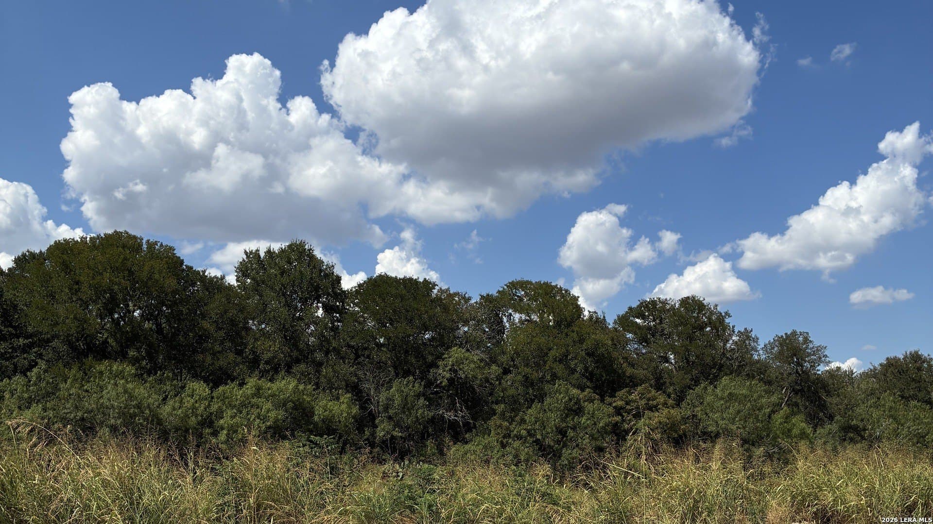16.79 acres in Guadalupe County - photo 3