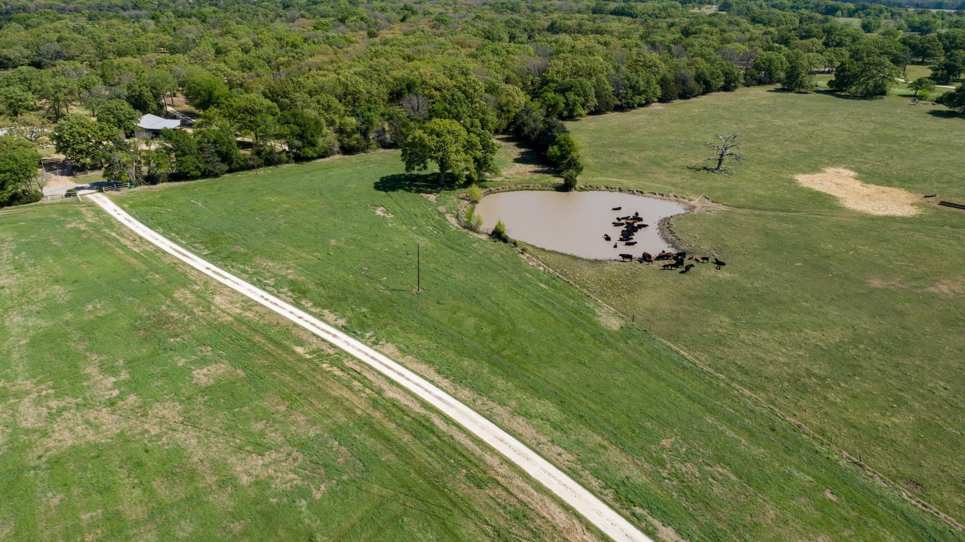 201 acres in Kaufman County gallery image 3