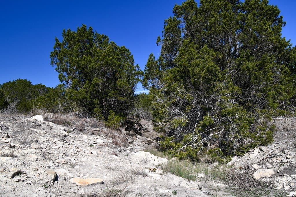 6.02 acres in Kerr County - photo 7
