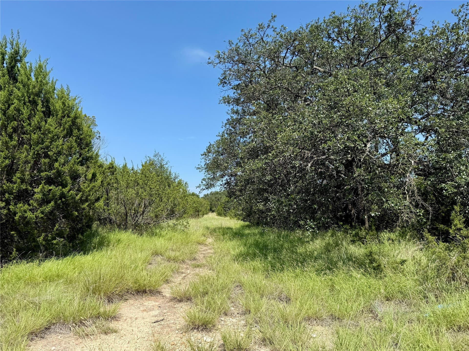 8.62 acres in Coleman County - photo 18