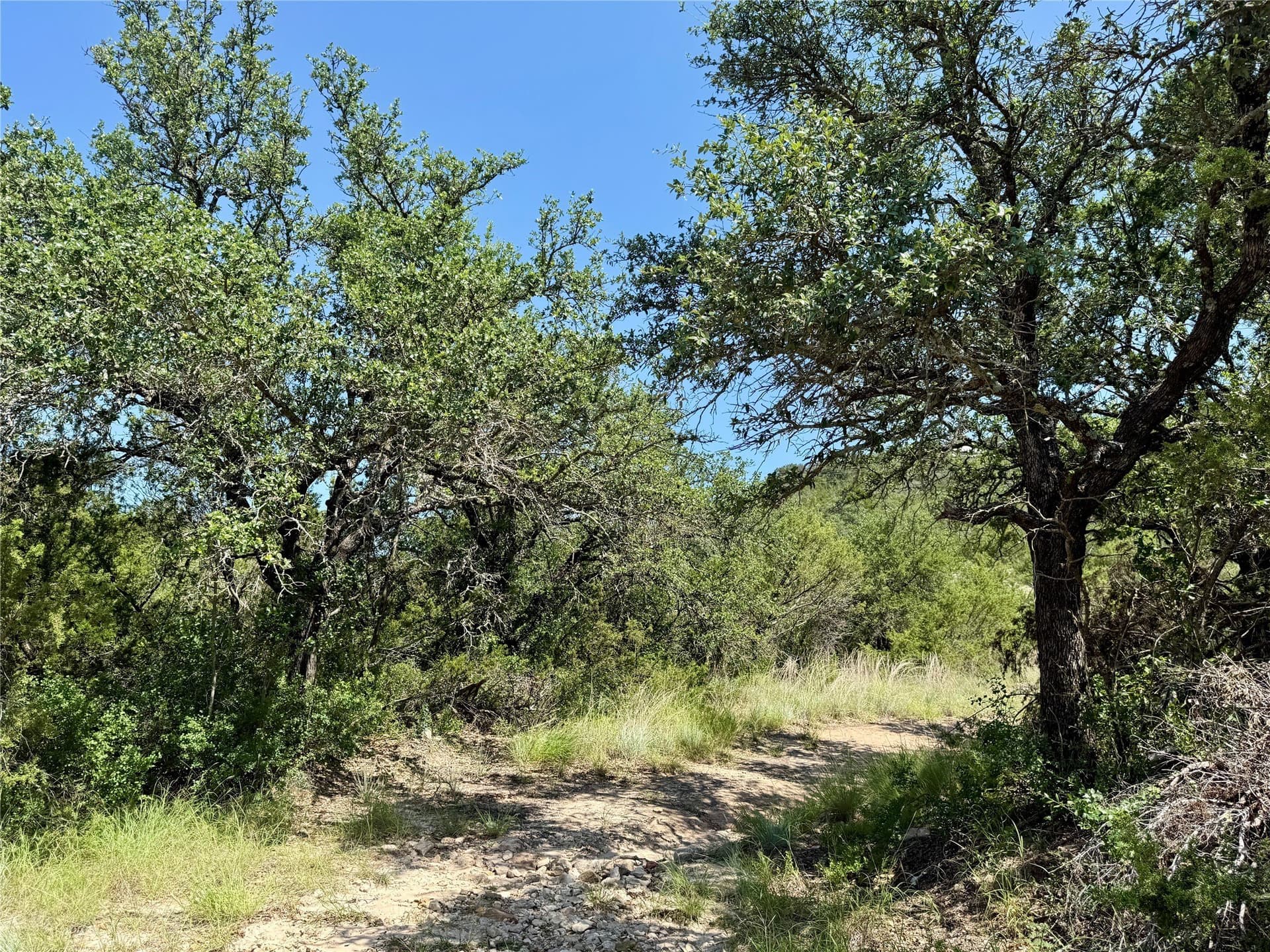 8.62 acres in Coleman County - photo 23