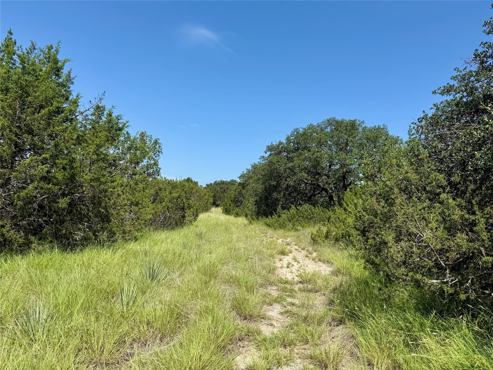 8.62 acres in Coleman County - photo 19
