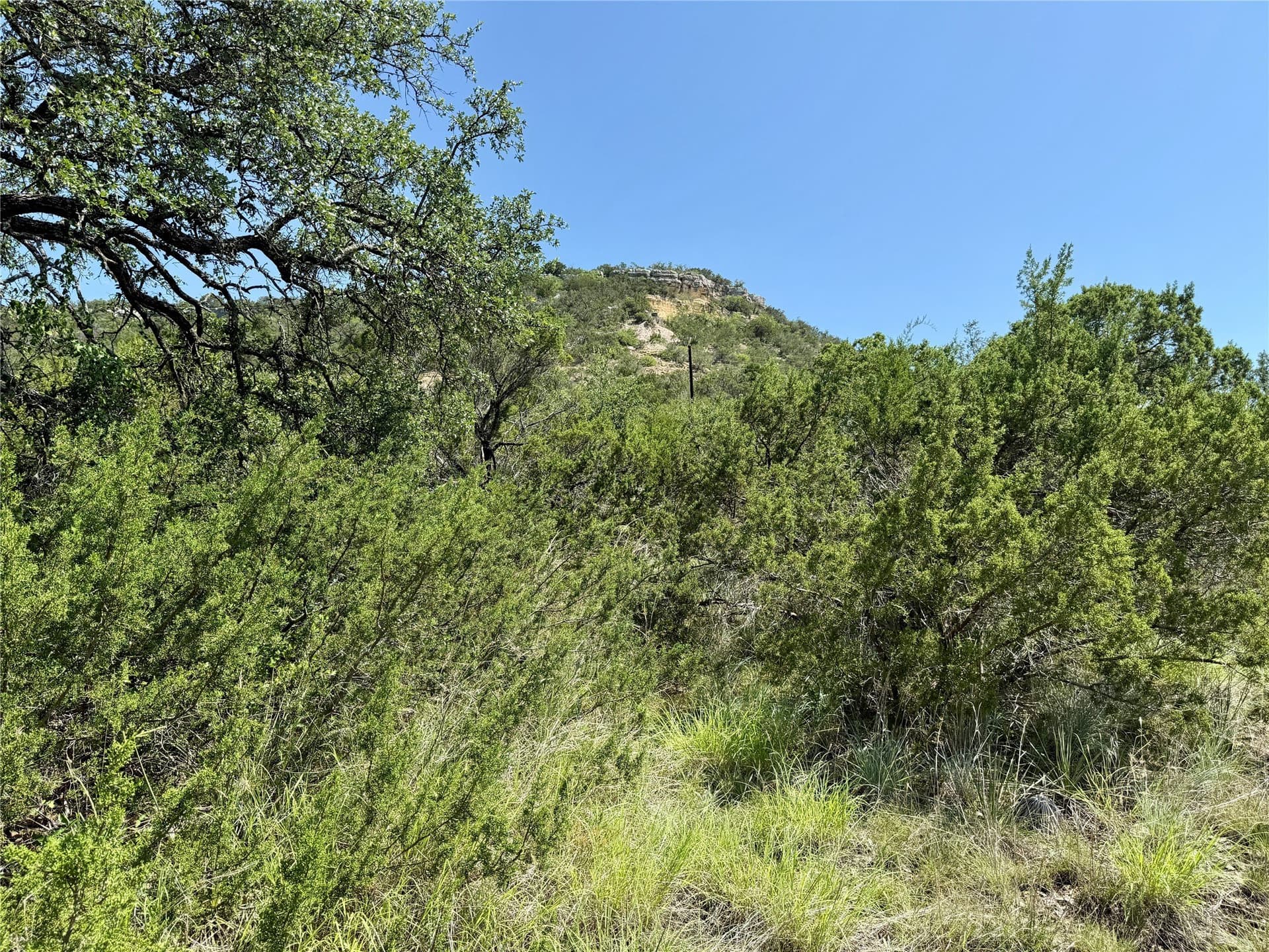 8.62 acres in Coleman County - photo 20