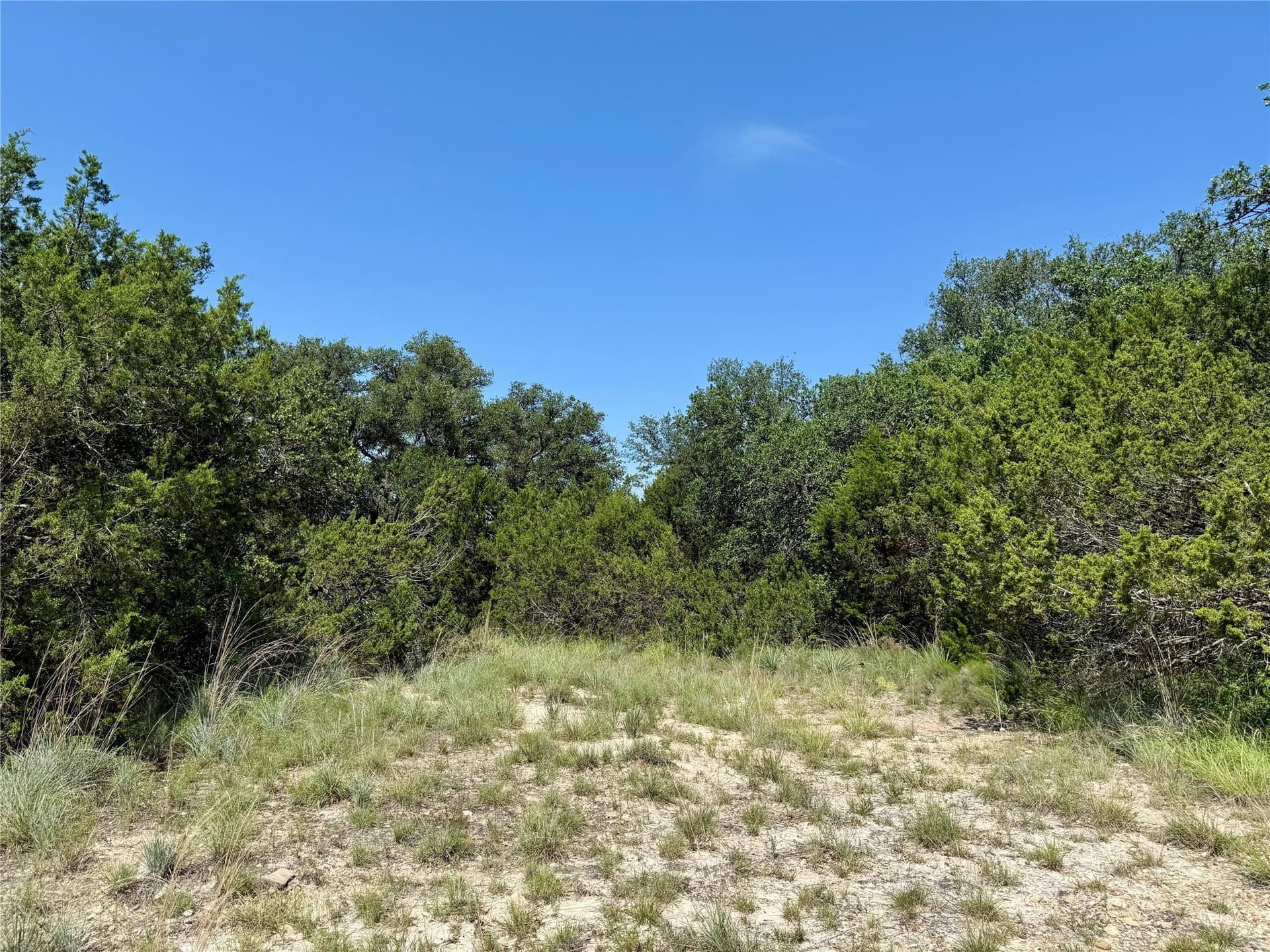 8.62 acres in Coleman County - photo 22