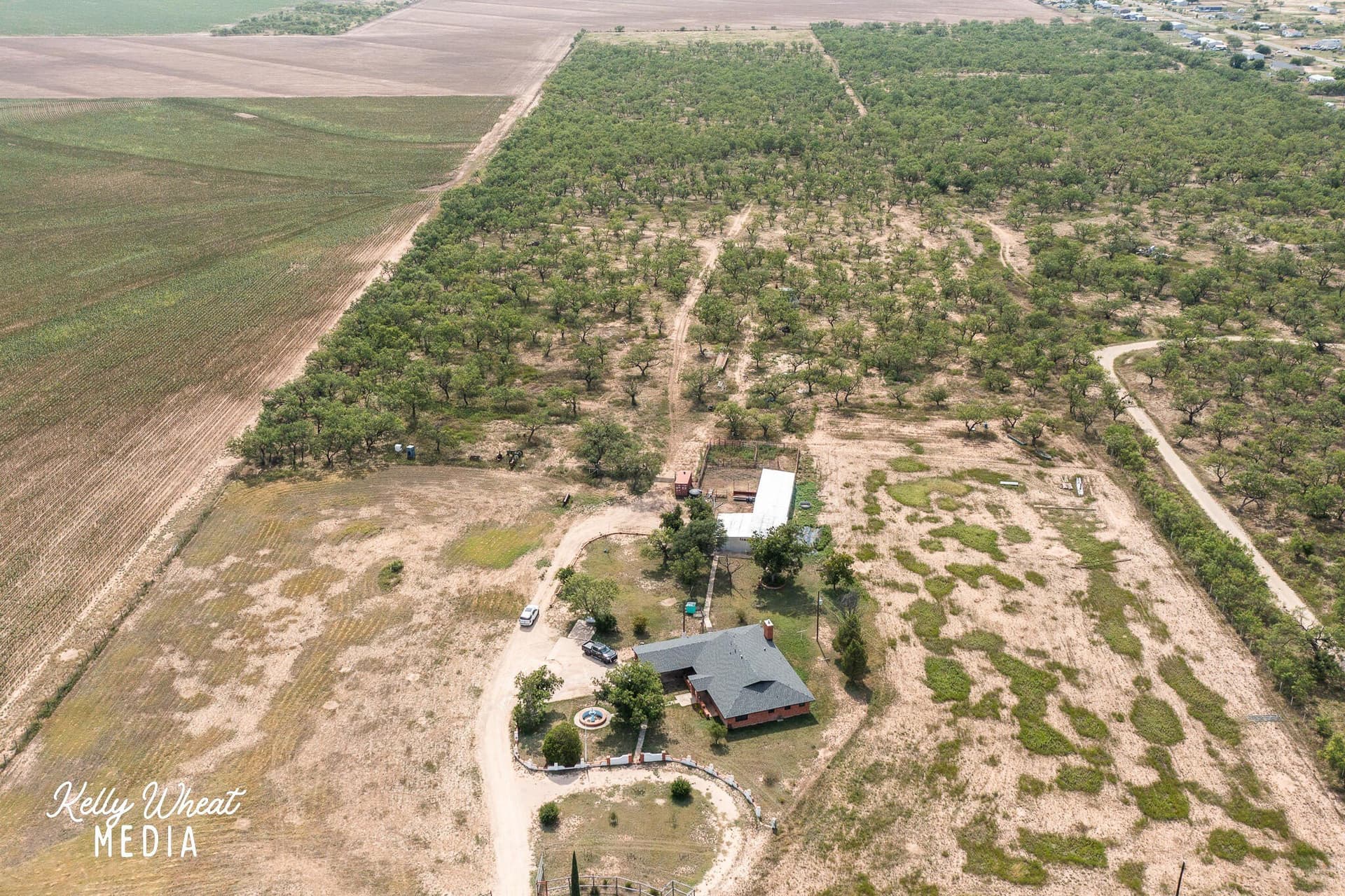 40 acres in Tom Green County - photo 31