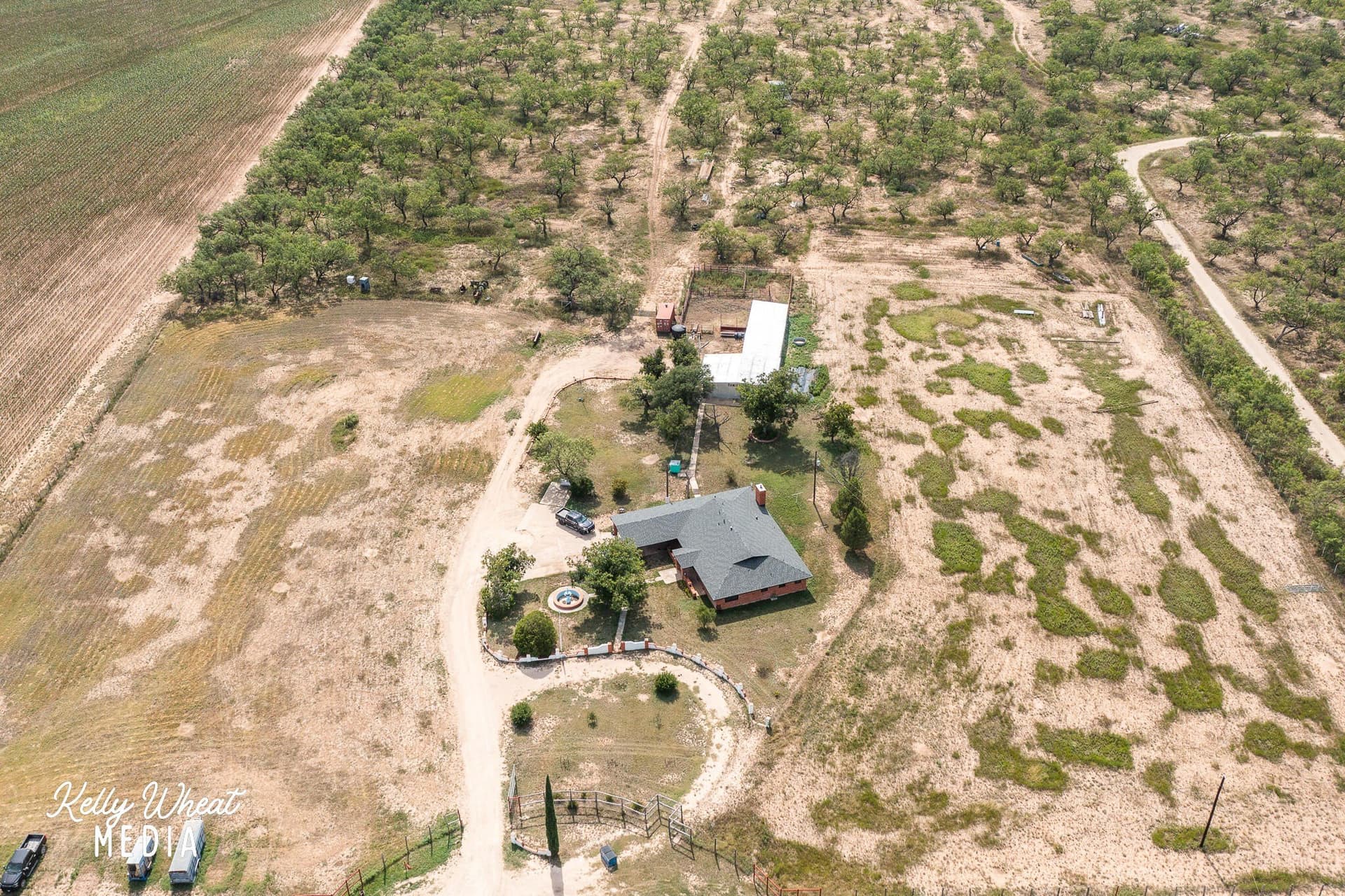 40 acres in Tom Green County - photo 22