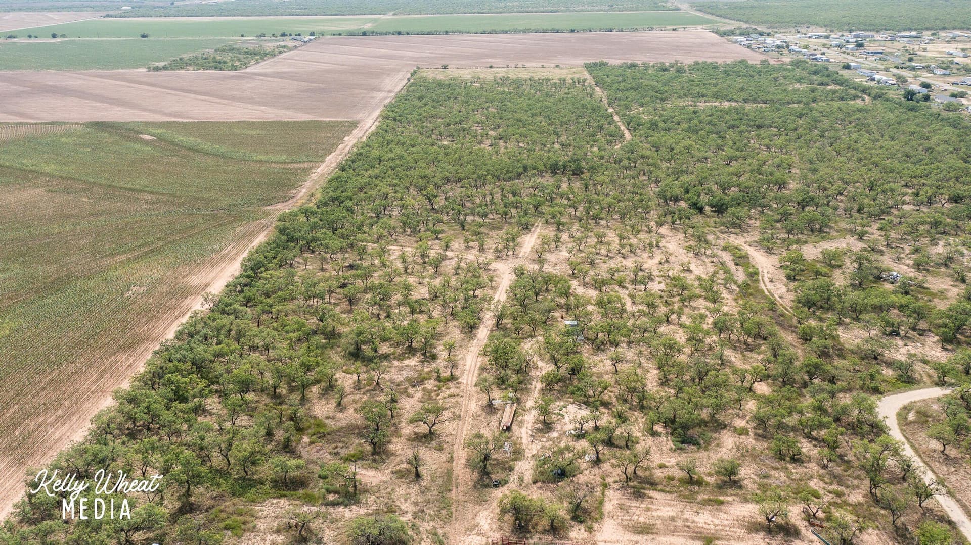40 acres in Tom Green County - photo 28