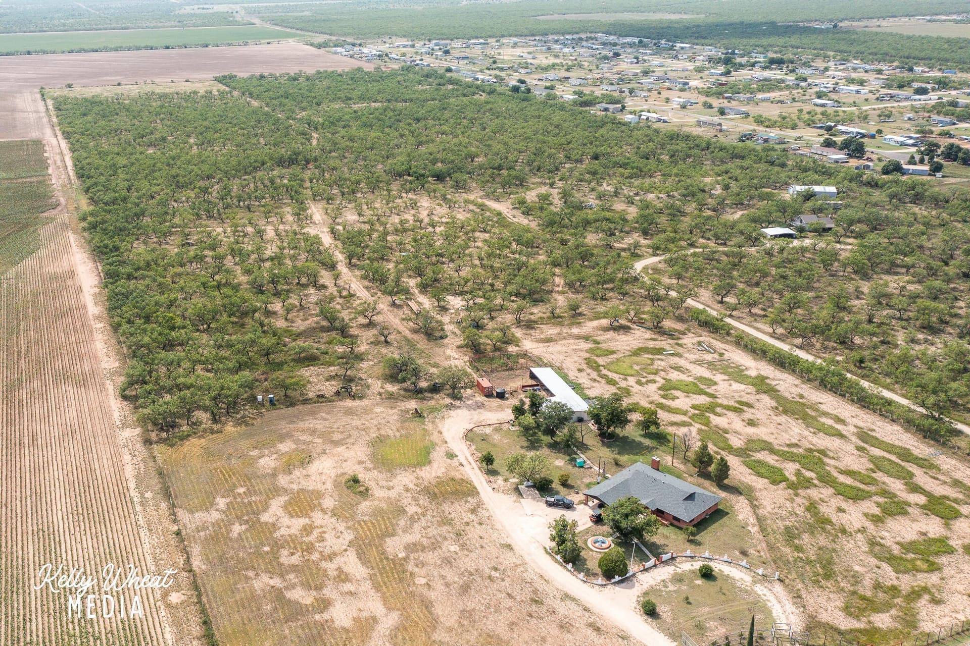 40 acres in Tom Green County - photo 32