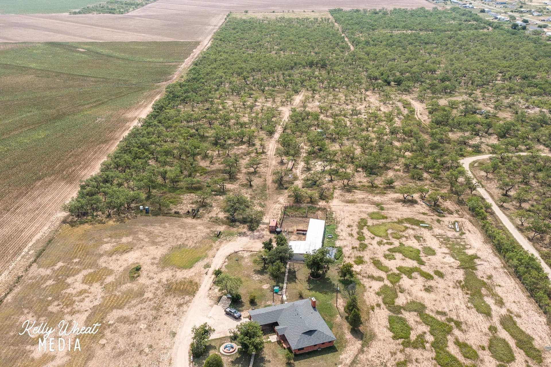 40 acres in Tom Green County - photo 19