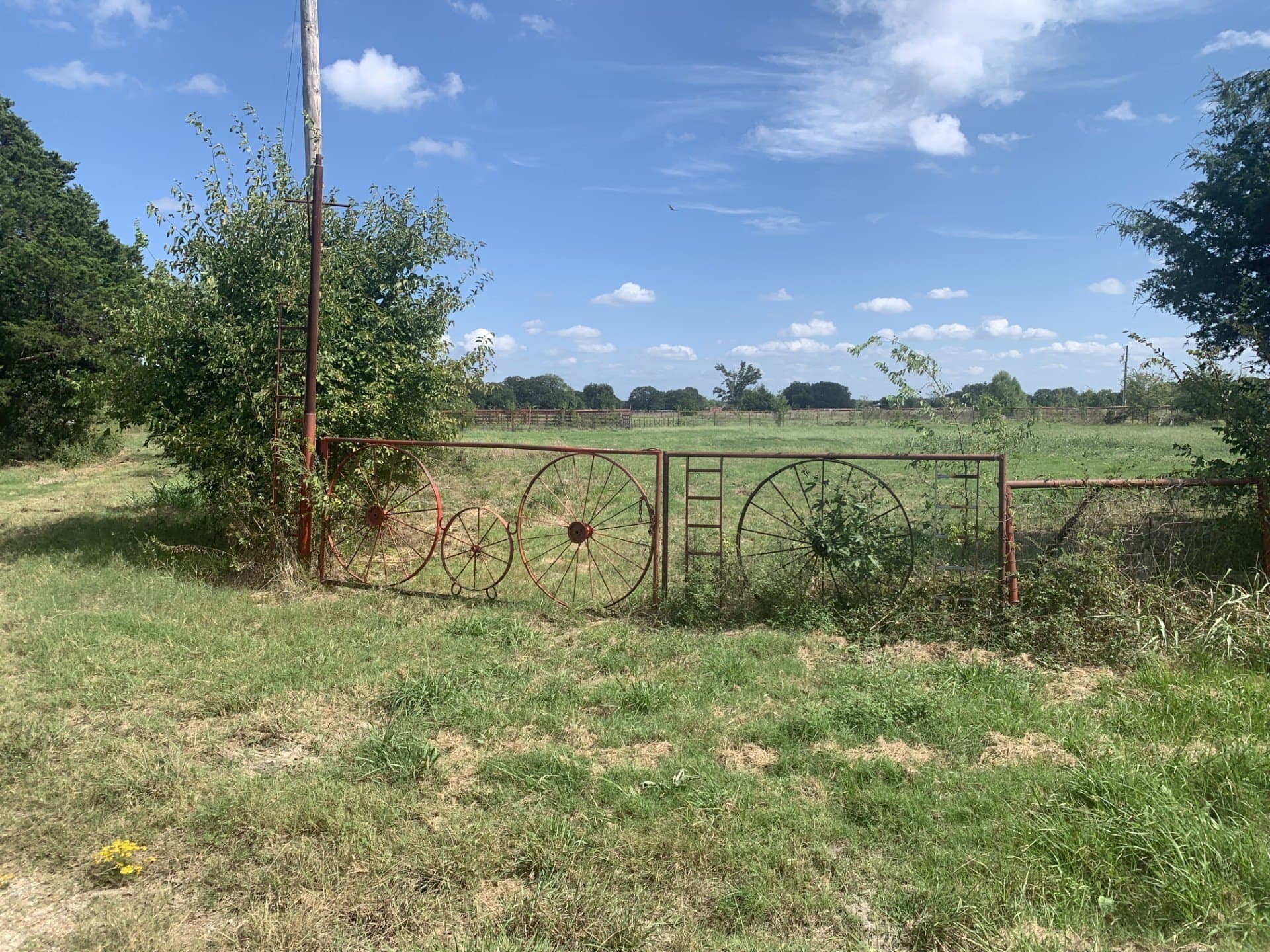 17.9 acres in Hunt County - photo 12