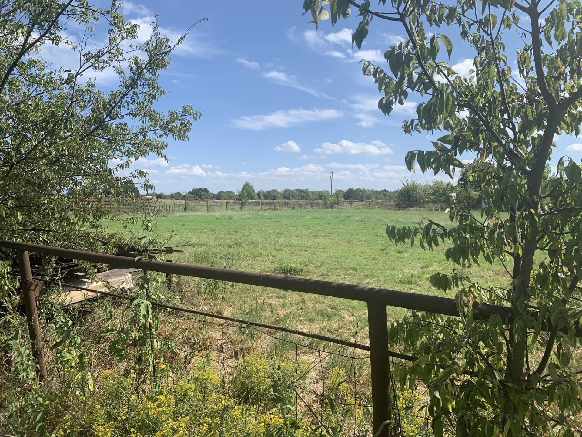 17.9 acres in Hunt County - photo 8