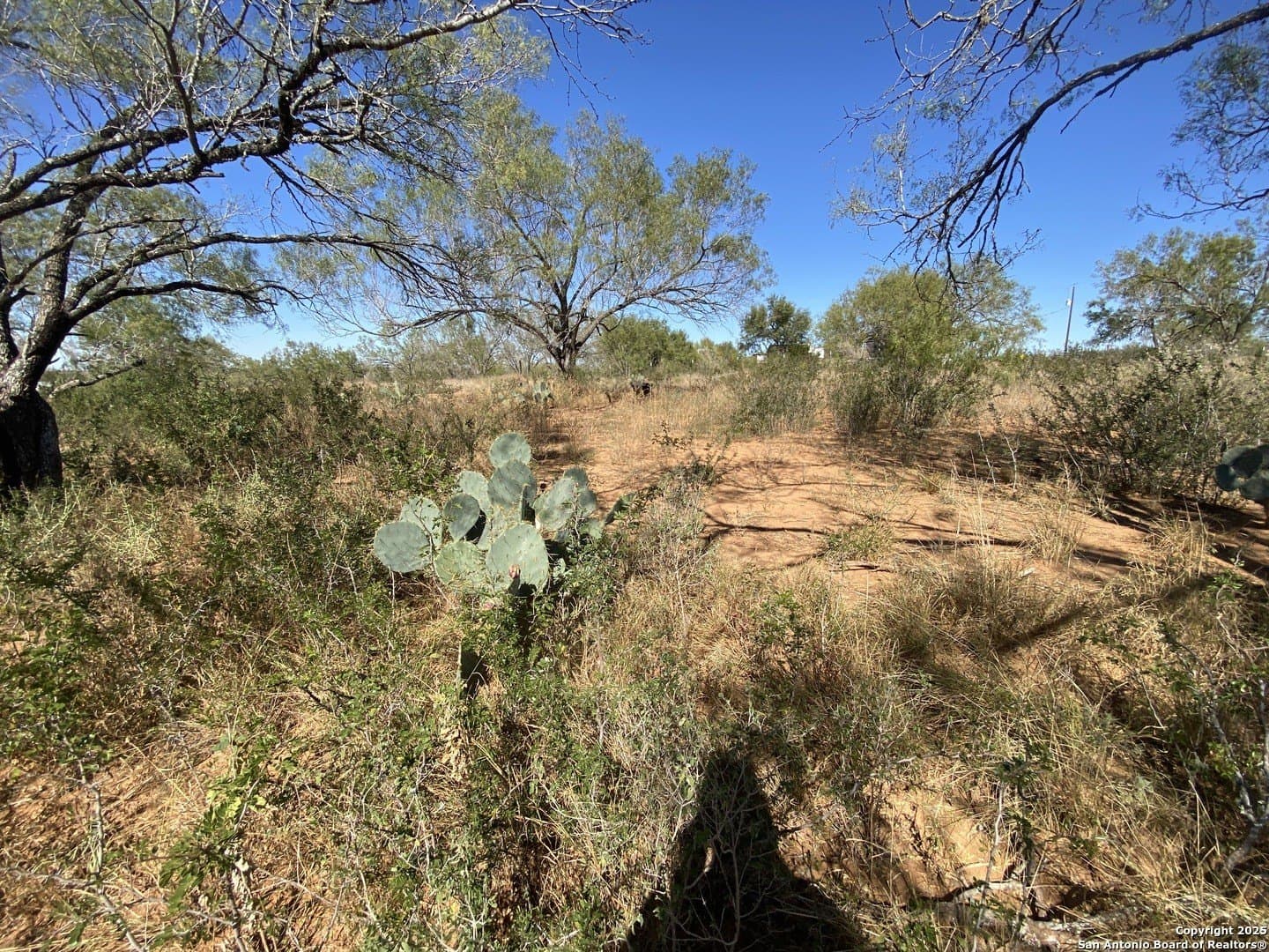 1.23 acres in Frio County - photo 10