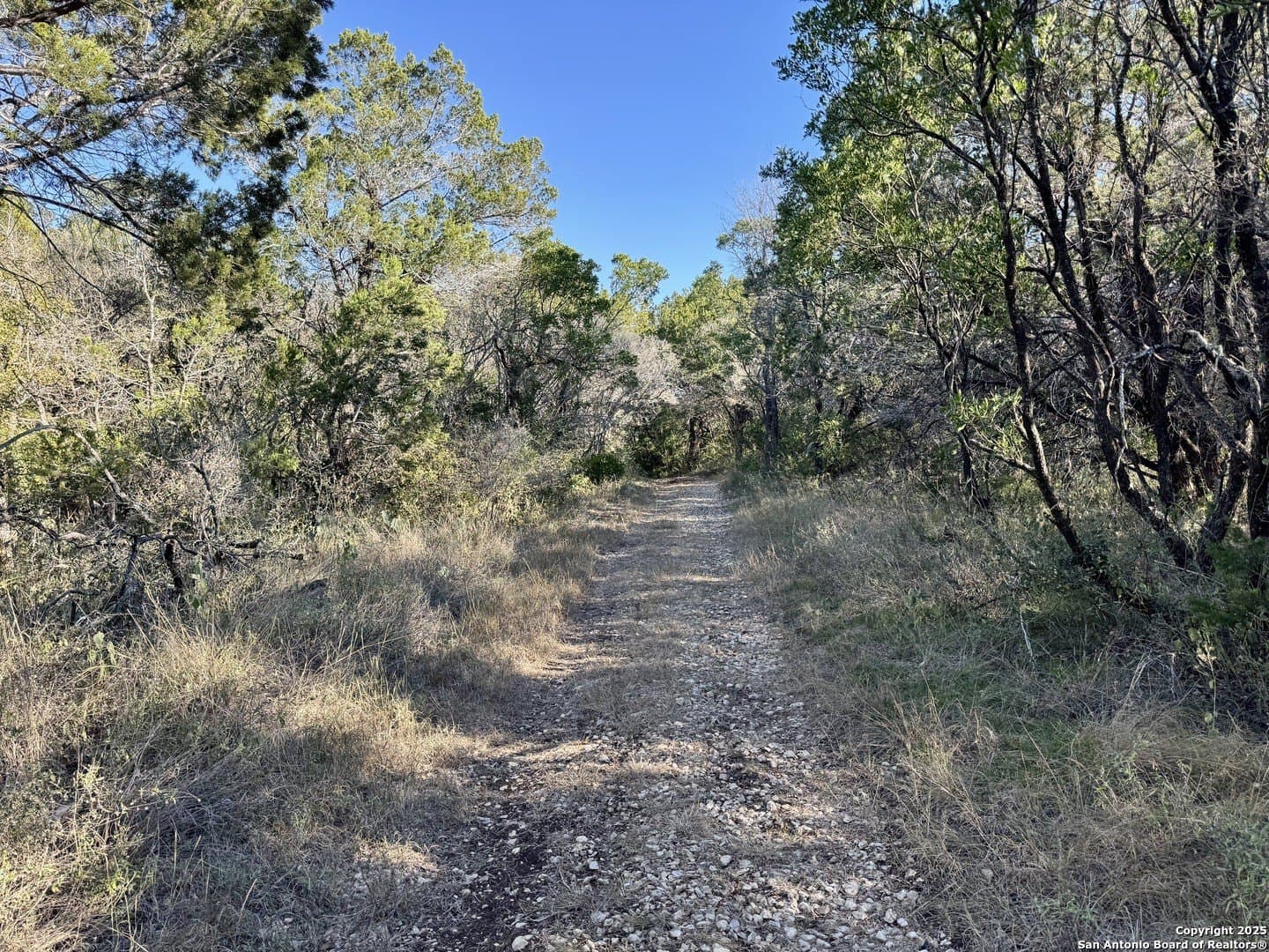 3 acres in Medina County - photo 22