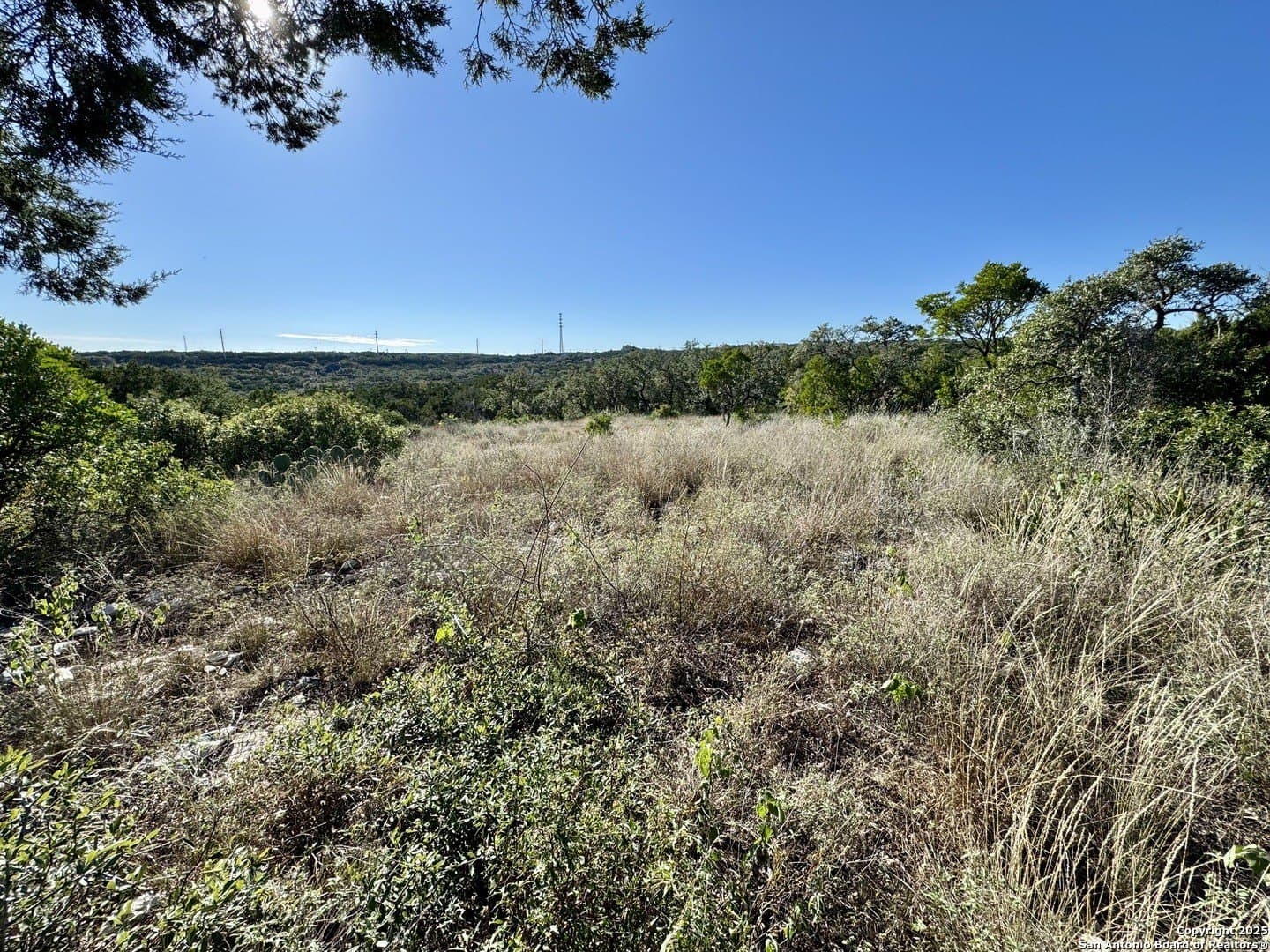 3 acres in Medina County gallery image 2