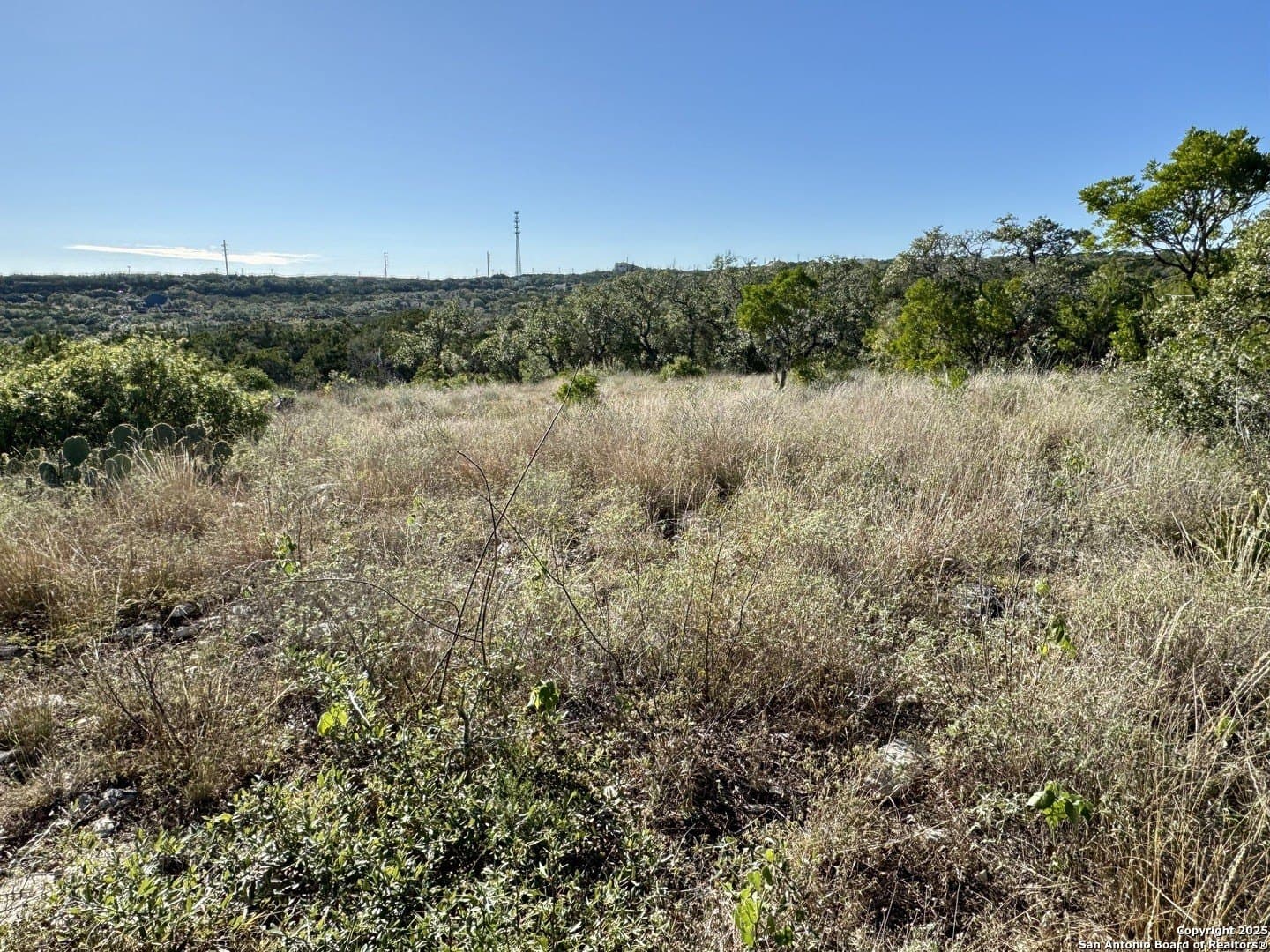 3 acres in Medina County gallery image 3