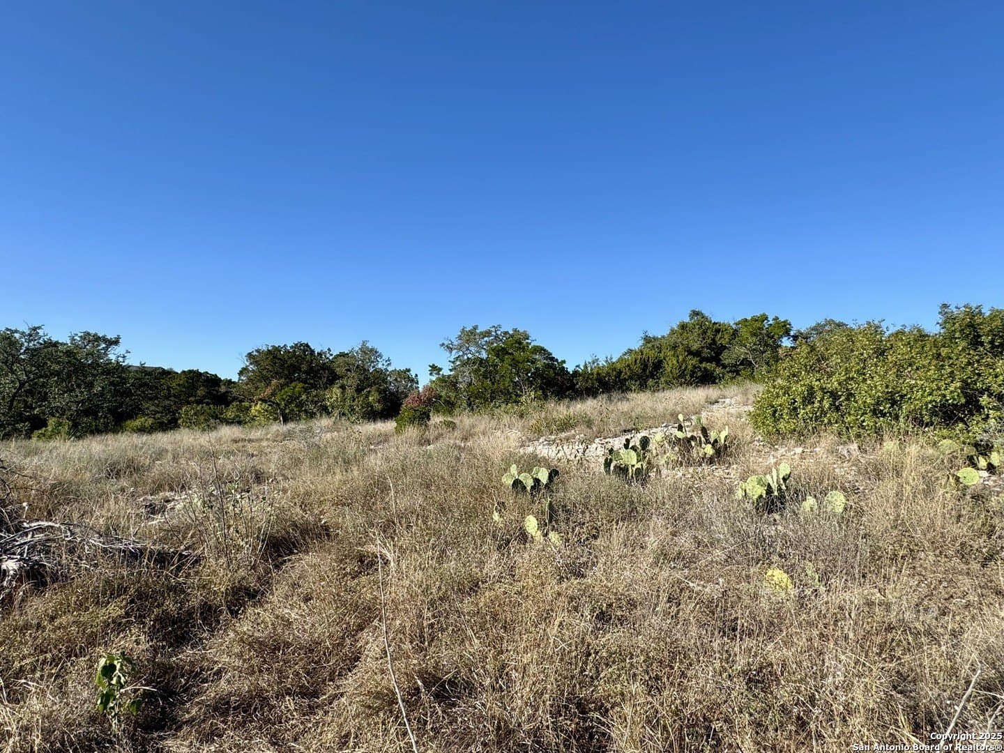 3 acres in Medina County - photo 19