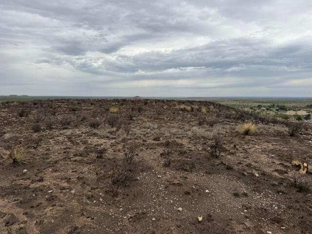 15 acres in Potter County gallery image 4