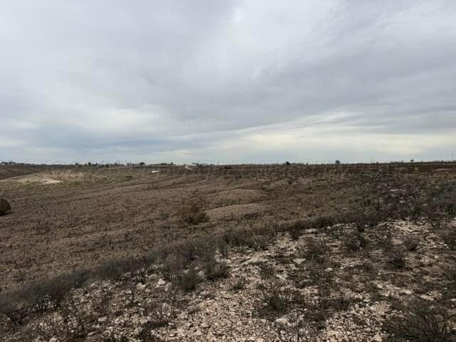 15 acres in Potter County gallery image 2