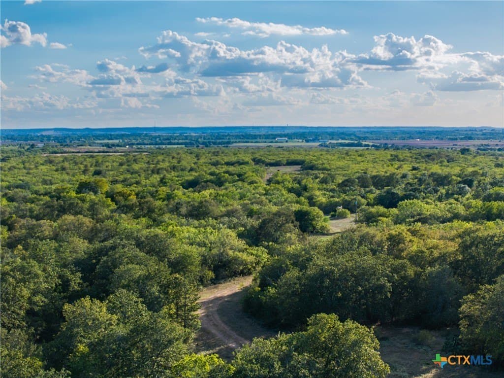 132.1 acres in Caldwell County gallery image 2