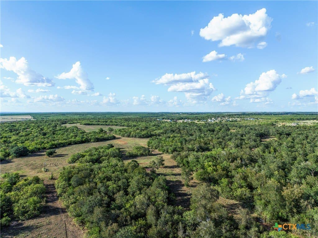 132.1 acres in Caldwell County gallery image 3