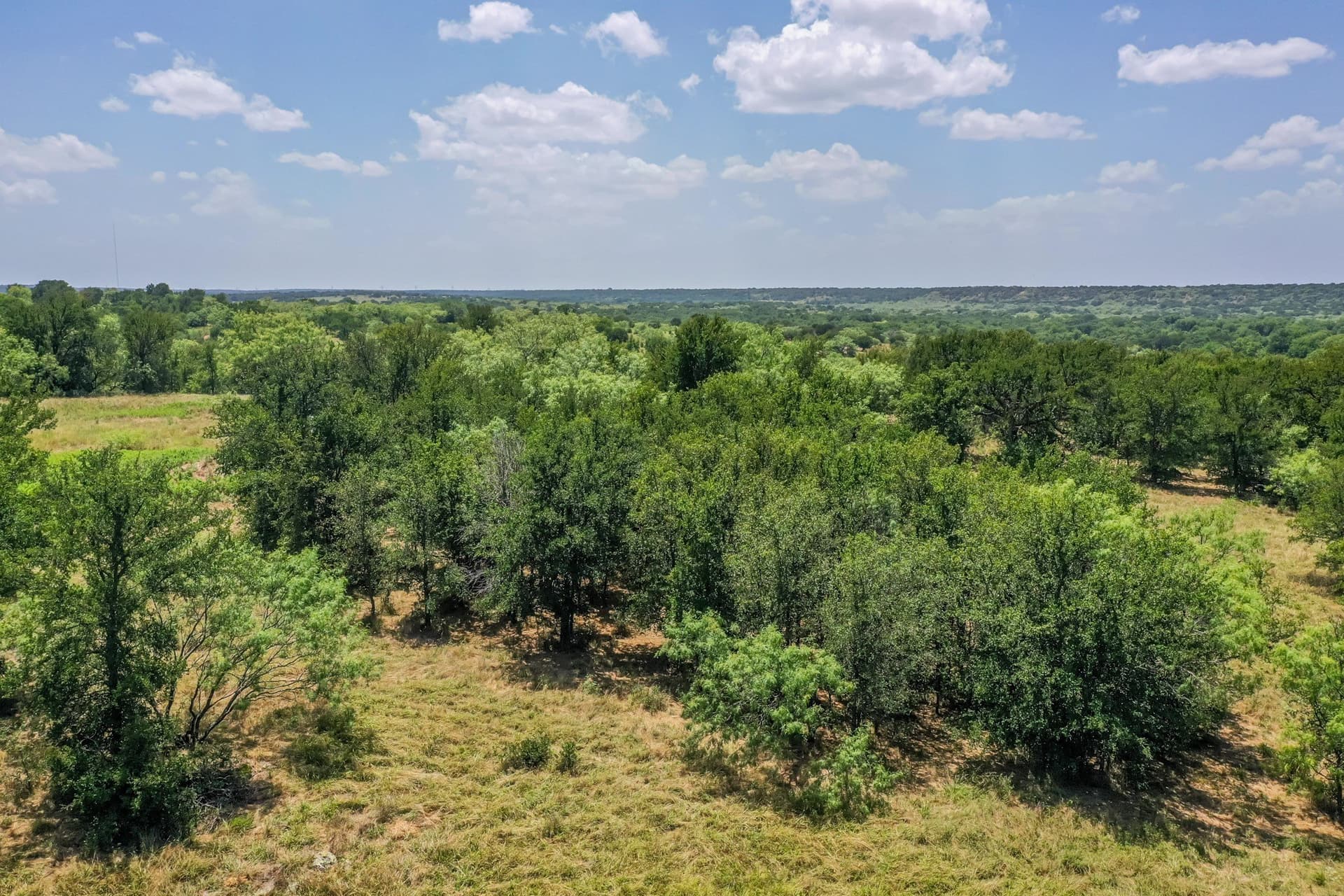 100.13 acres in Jack County - photo 13