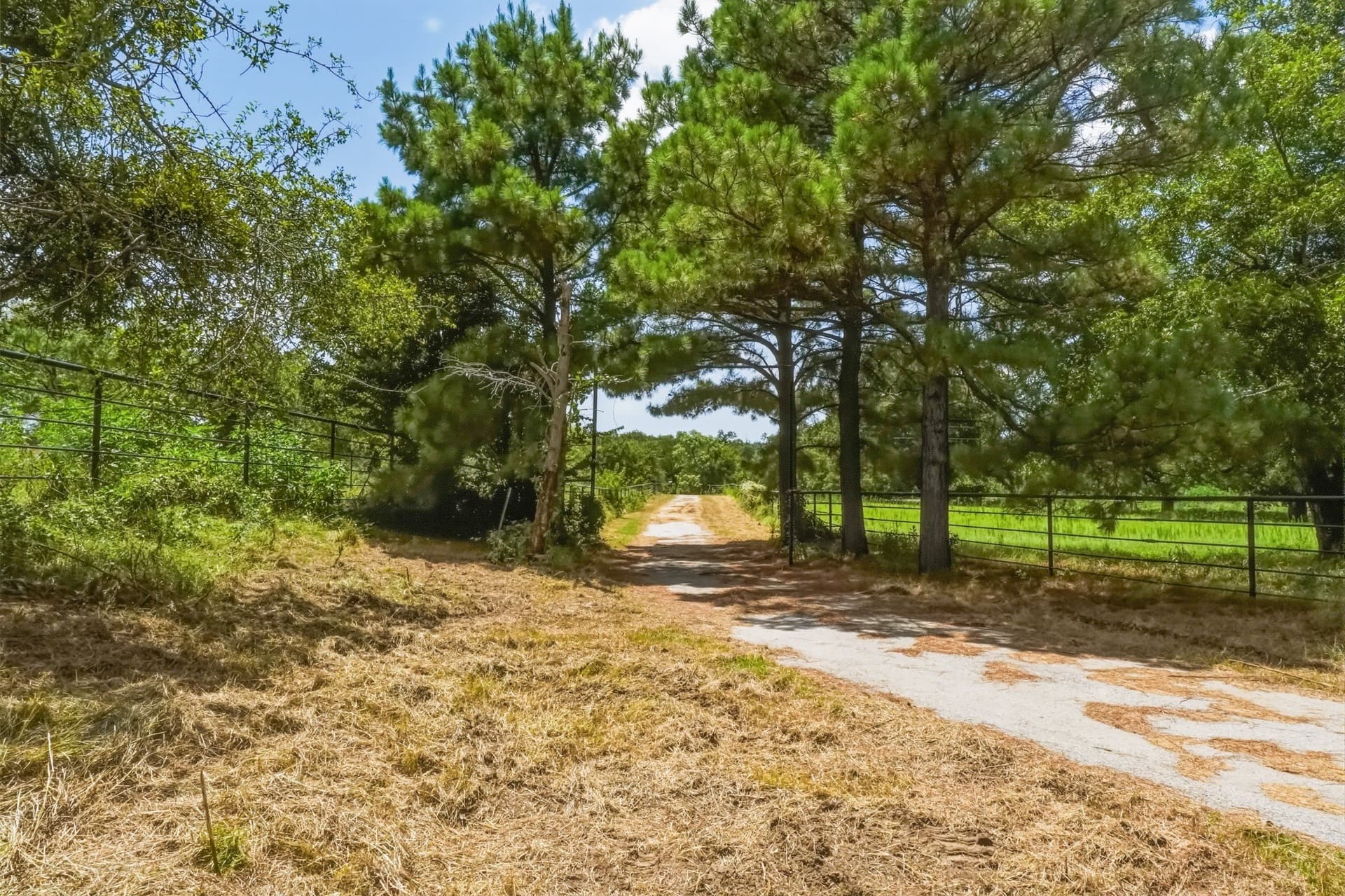 100.13 acres in Jack County - photo 38
