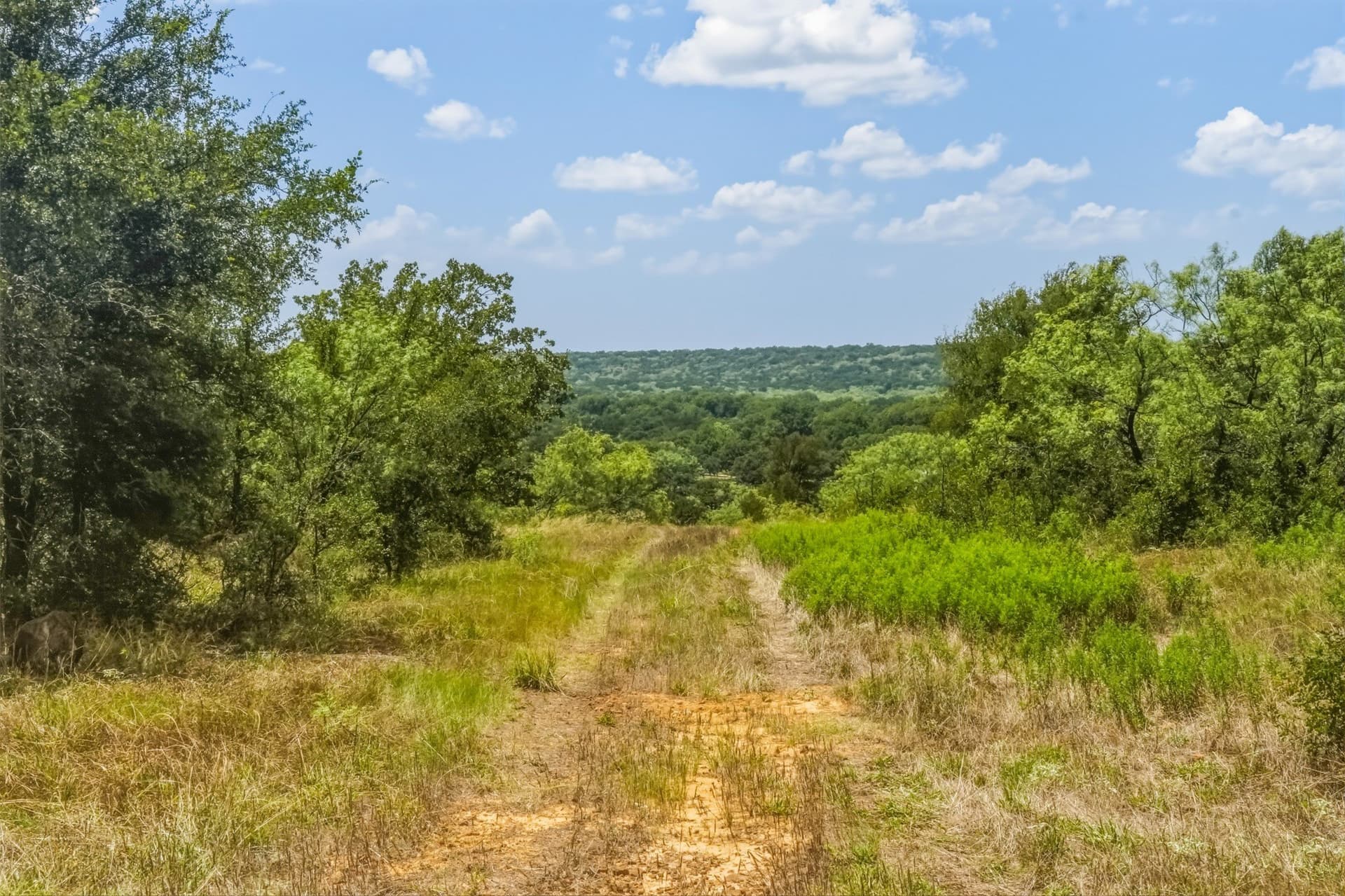 100.13 acres in Jack County - photo 22
